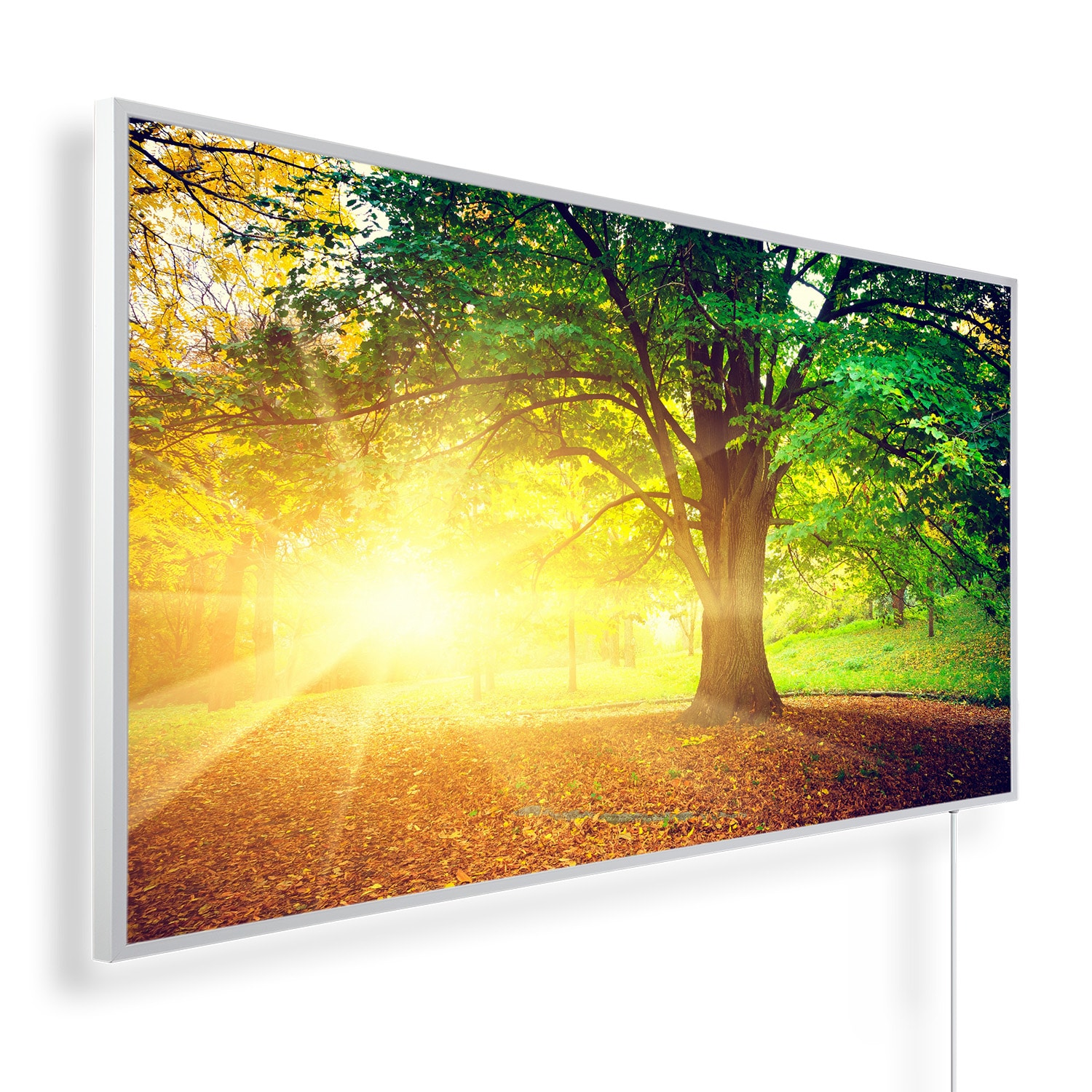 Herfstzon in bos | 450 tot 1200 Watt | Witte of zwarte lijst