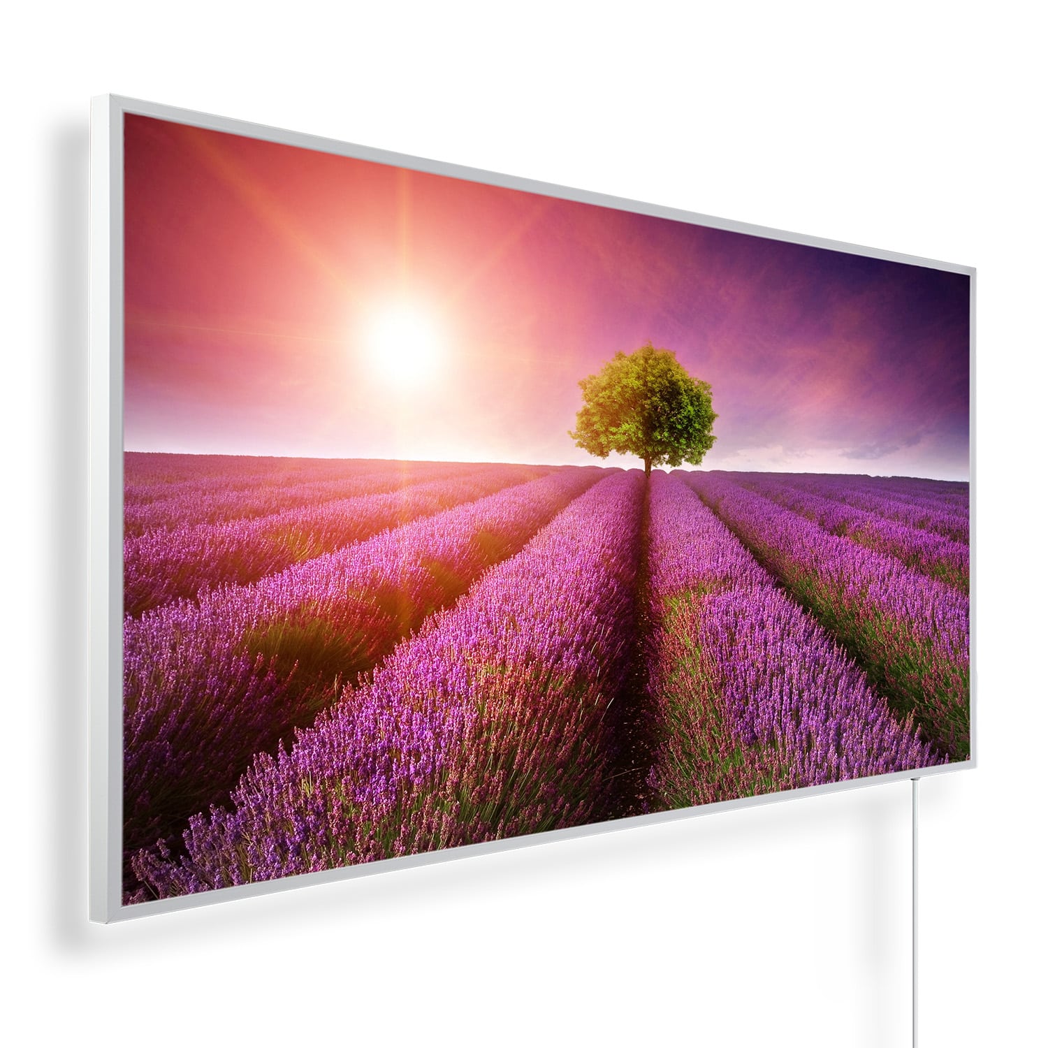 Lavendelveld met boom zonsondergang | 450 tot 1200 Watt | Witte of zwarte lijst