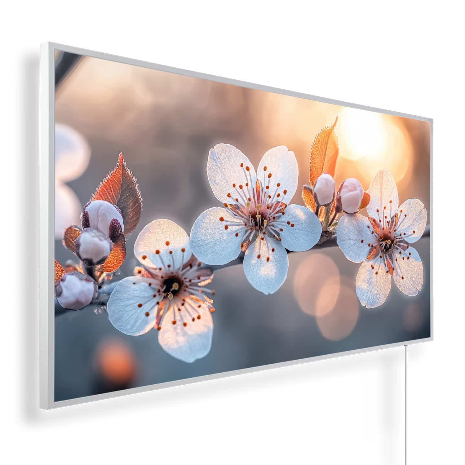 Kersenboomtak met witroze bloemen | 450 tot 1200 Watt | Witte of zwarte lijst